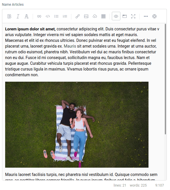 Markdown Editor Preview